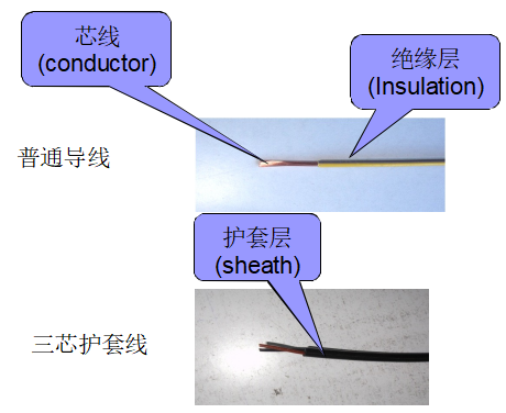 導(dǎo)線結(jié)構(gòu)